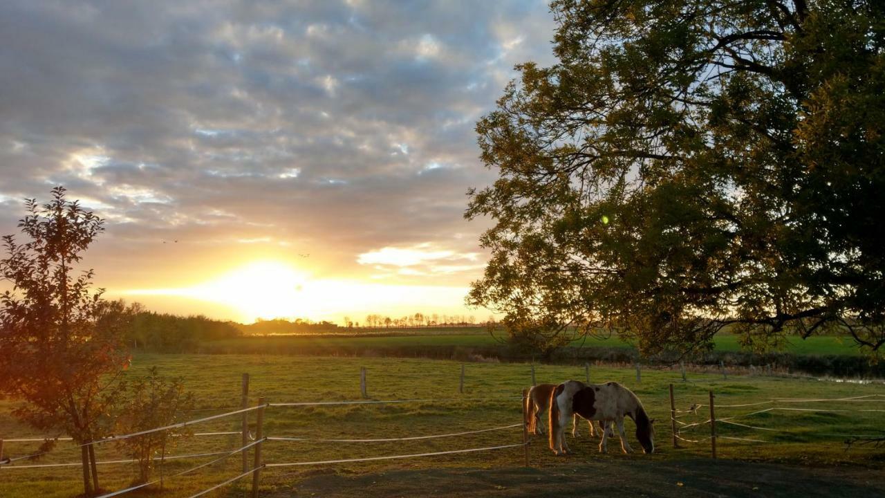 Appartement Im Stall "Lune River Ranch" Loxstedt 外观 照片